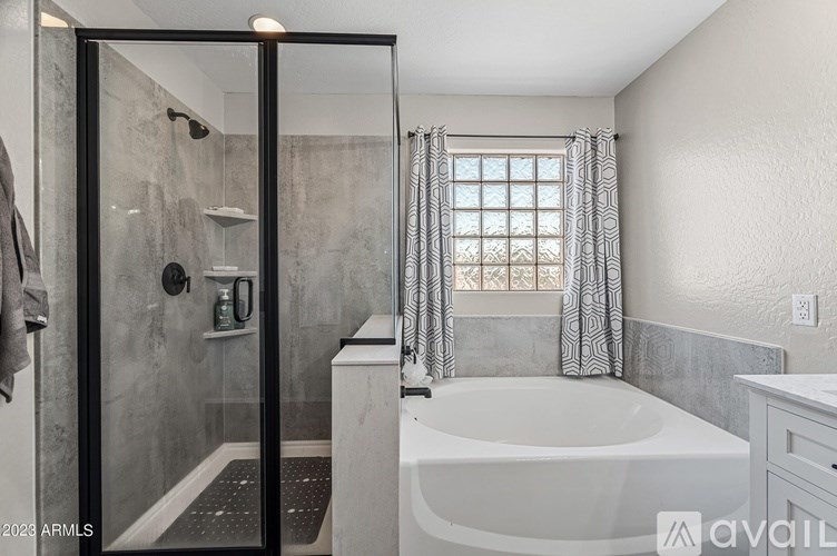 A modern bathroom with a walk-in shower and a bathtub.
