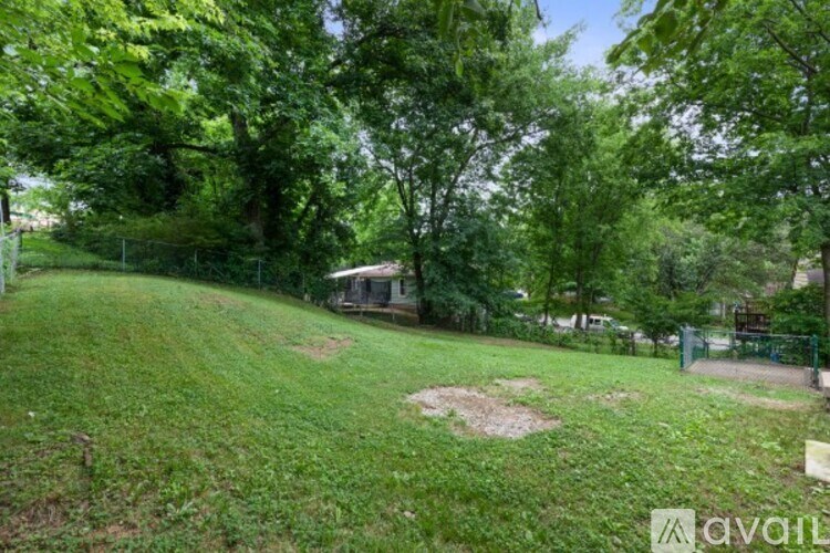 A grassy area with trees and a fence in the background.