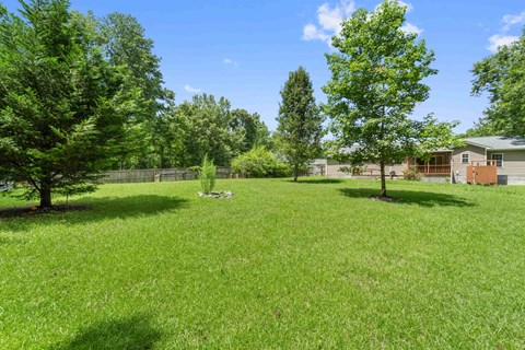 A grassy field with trees and a fence in the background.
