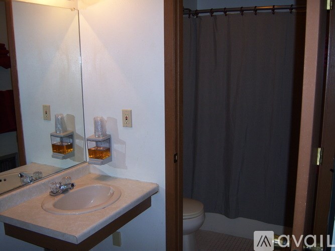 A bathroom with a sink, mirror, and shower.