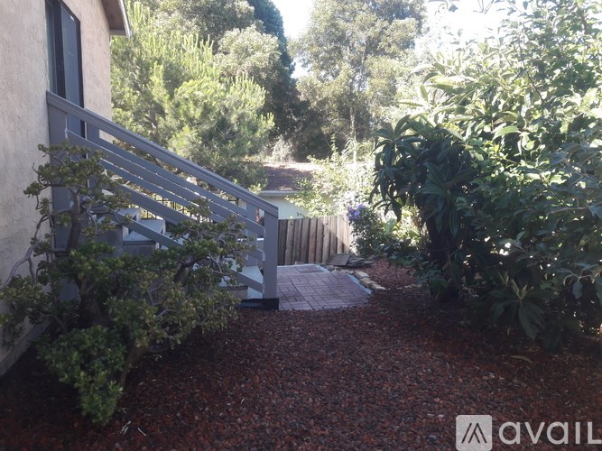 A garden with a wooden staircase and a gravel path.