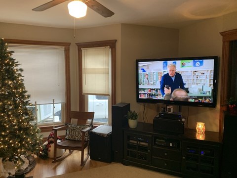 A living room with a Christmas tree and a television playing a news program.