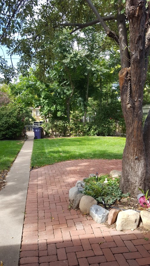 A tree trunk with a hole in it.