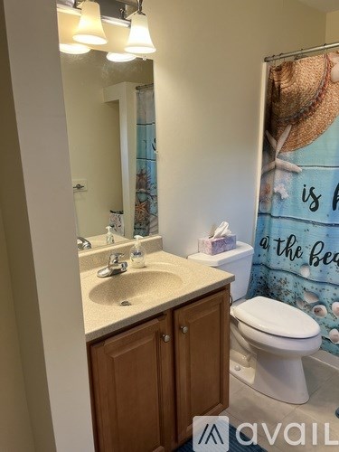 A bathroom with a toilet, sink, and a shower curtain with a straw hat on it.