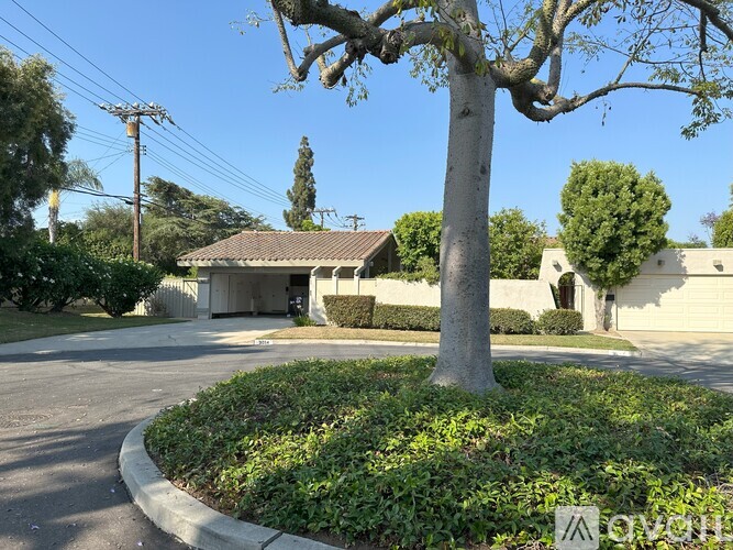 A tree stands in the middle of a well-manicured lawn in front of a house.