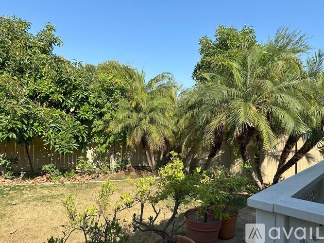 A garden with palm trees and other greenery.