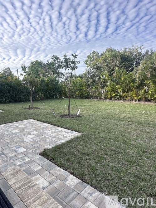 A backyard with a paved walkway and a grassy area.