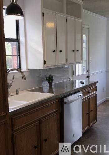 A kitchen with a sink and cabinets.