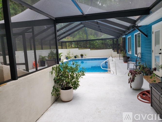 A patio with a pool and a plant in a white pot.