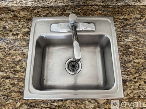 A stainless steel kitchen sink with a faucet and a drain.