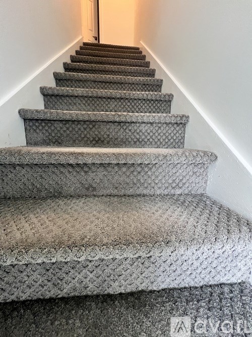 A carpeted staircase with a diamond pattern on the steps and risers.