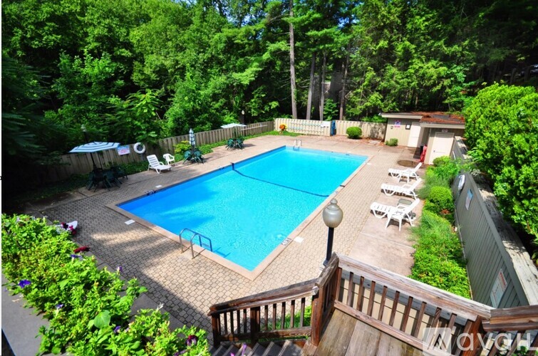 A pool surrounded by greenery and a deck with chairs.