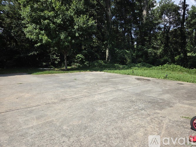 A concrete surface with a wheel in the bottom right corner and trees in the background.