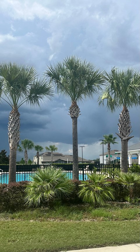 Three palm trees in front of a pool and a building.
