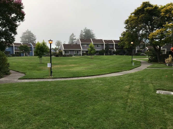 A grassy area with a pathway and a signpost in the foreground.