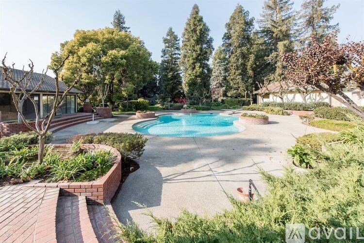 A backyard with a pool and a tree.