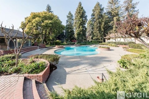 A backyard with a pool and a tree.