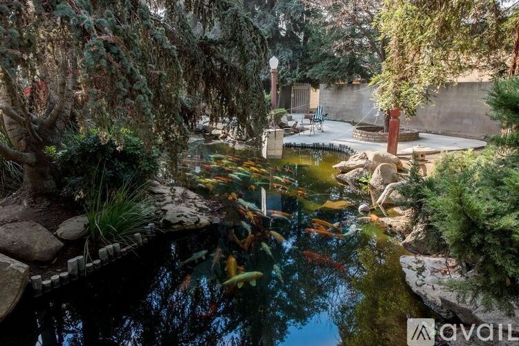 A small pond with fish and a lamp post in the background.