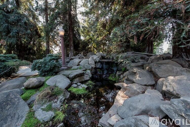 A small stream flows through a rocky area with trees in the background.