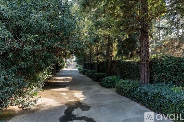 A pathway surrounded by greenery and trees.