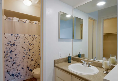 a bathroom with a sink and a shower and a mirror
