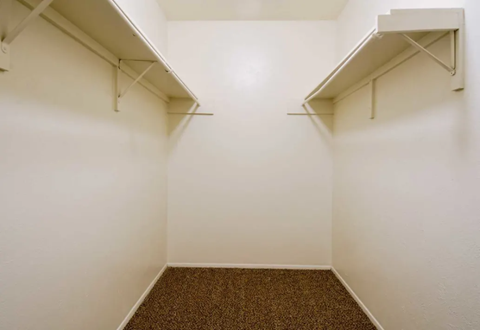 a room with two shelves on the wall and a carpet
