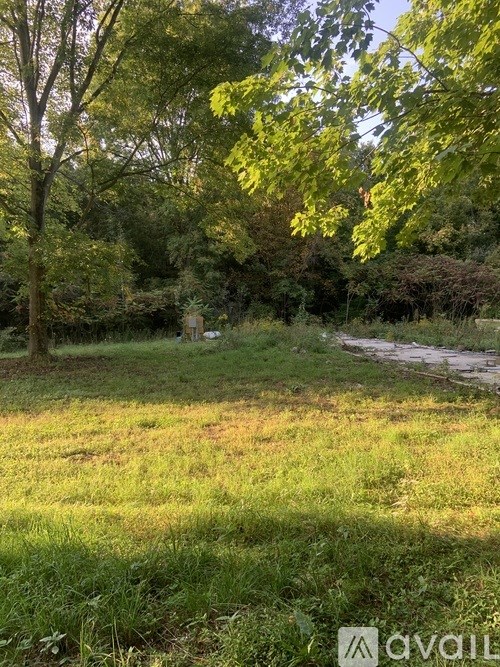 A grassy field with trees and a path in the distance.