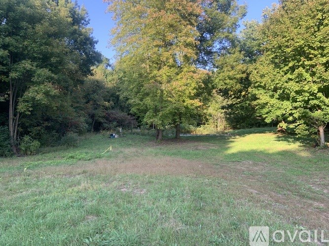 A grassy field with trees in the background.