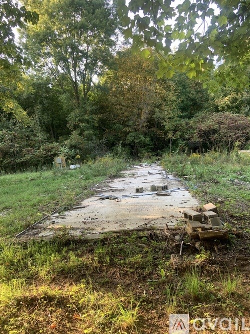 A dilapidated road in a forest.