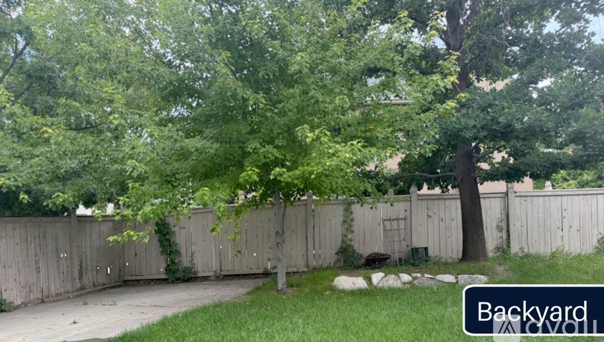 A backyard with a fence and a tree.
