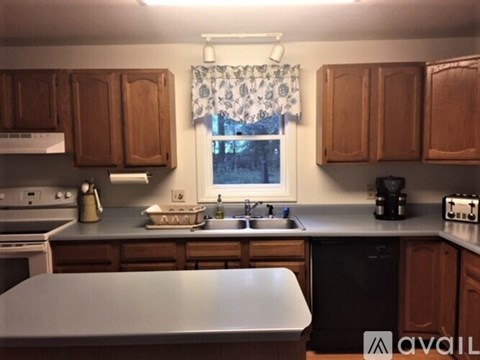 A kitchen with wooden cabinets and a window with a view of trees outside.