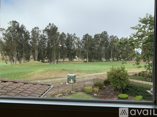 A view from a window looking out at a green lawn and trees.