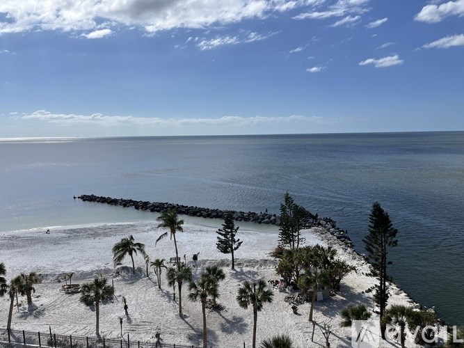 A beach with palm trees and a body of water.