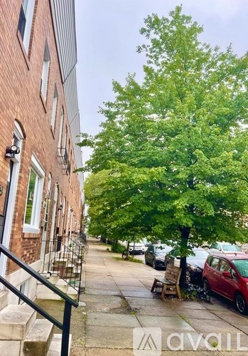 A tree in front of a brick building with cars parked on the street.