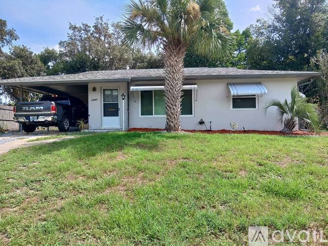 A house with a white exterior and a palm tree in front.