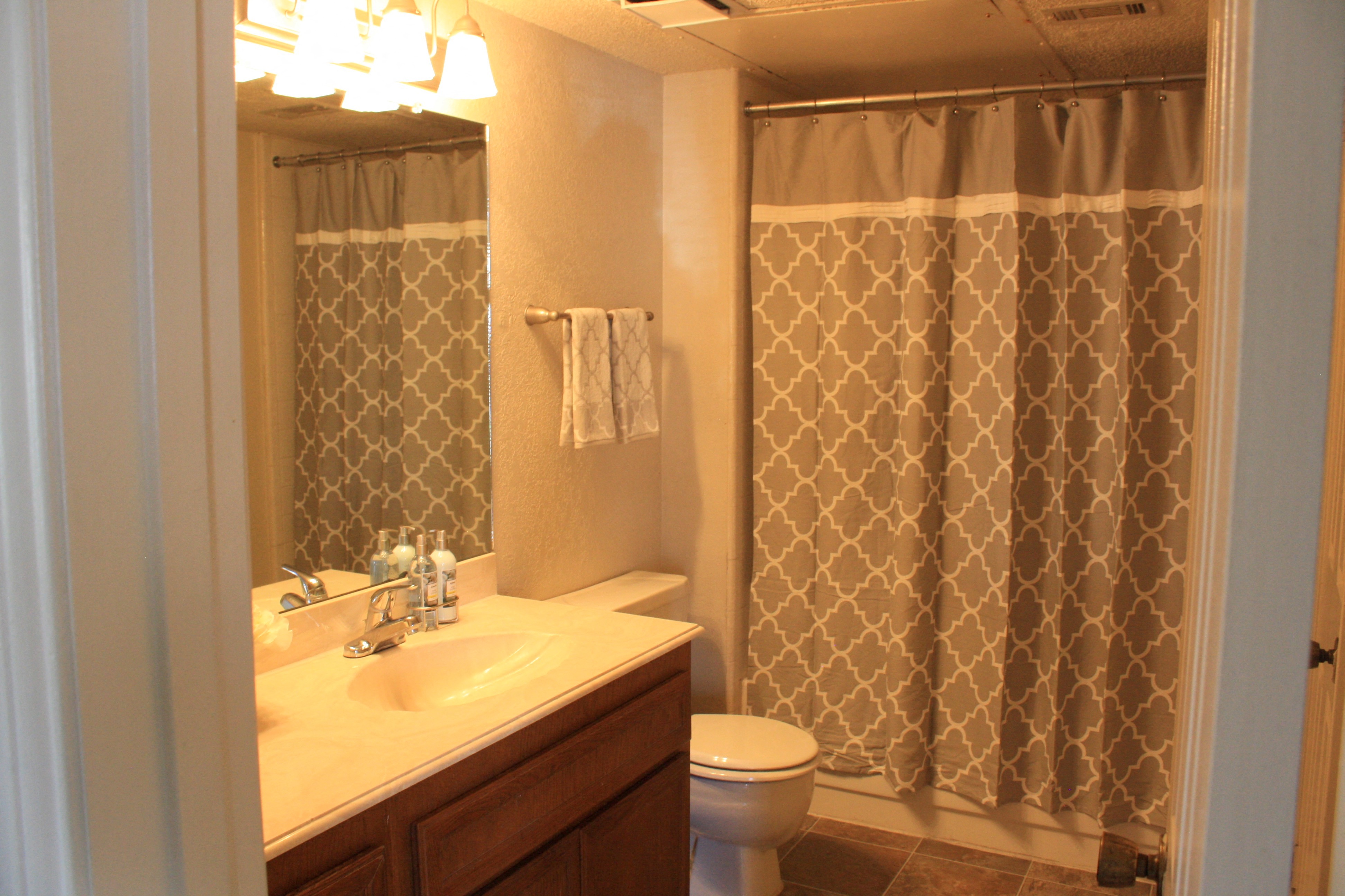 a bathroom with a sink and toilet and a shower