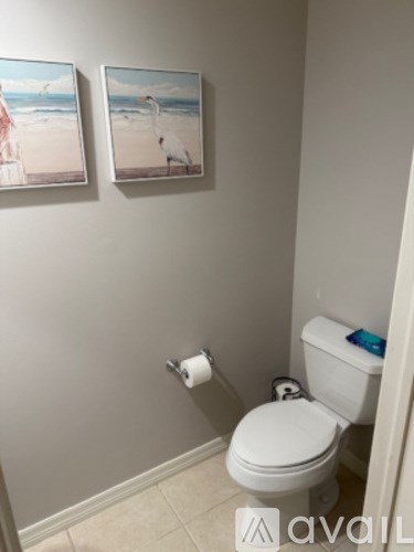 A bathroom with a toilet and two pictures on the wall.