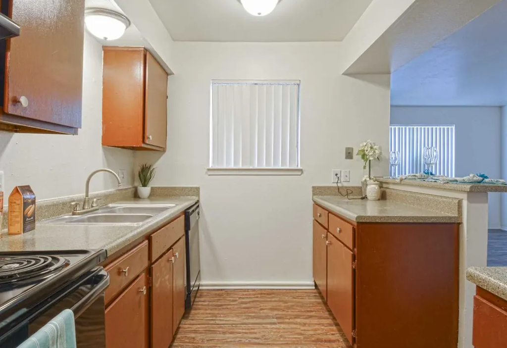 a kitchen with a sink and a stove and a window