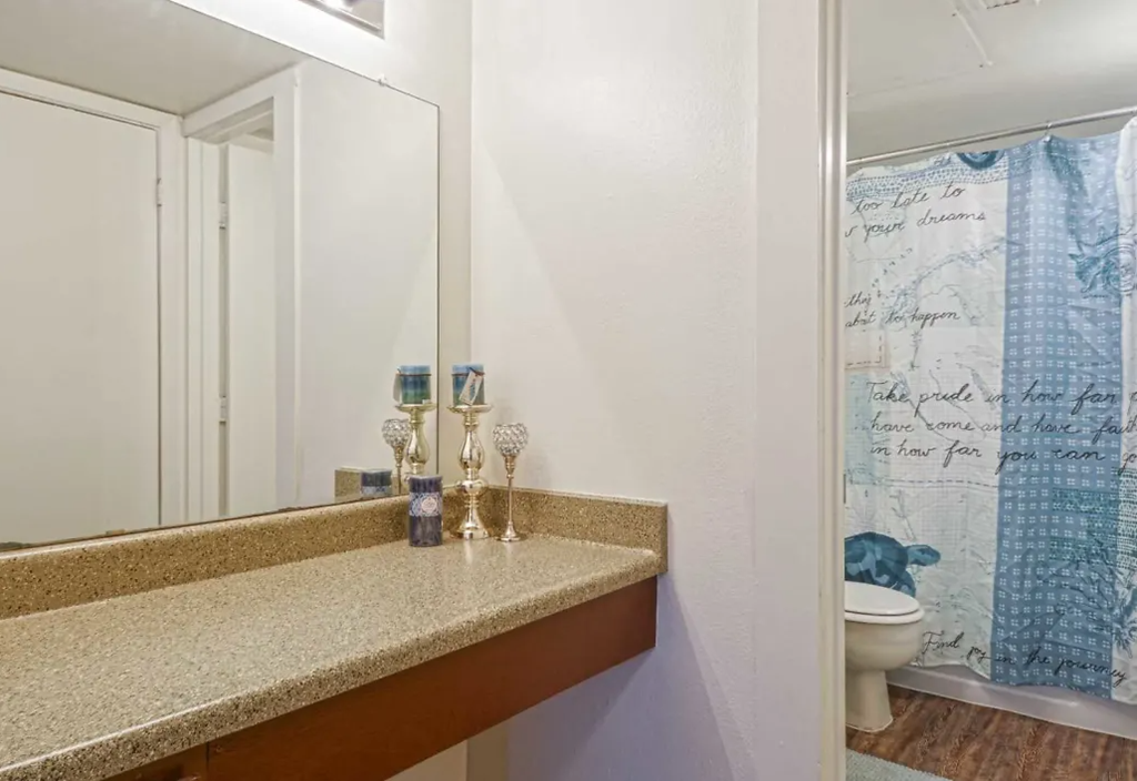 a bathroom with a sink and a shower and a mirror