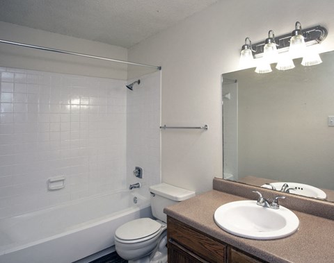 a bathroom with a sink and a toilet and a shower