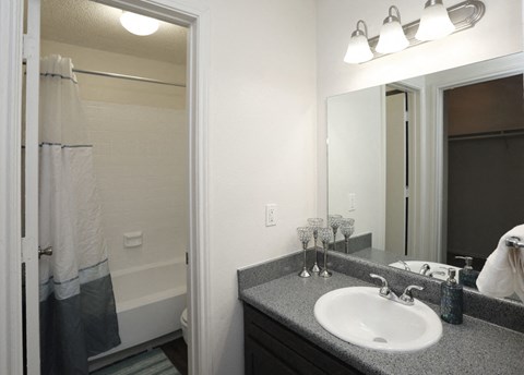 a bathroom with a sink and a shower and a mirror