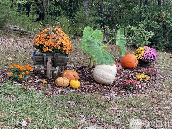 A garden with a wheelbarrow full of flowers, pumpkins, and gourds.