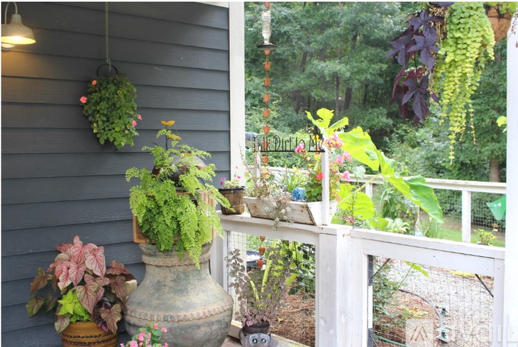 A variety of plants are displayed on a porch.