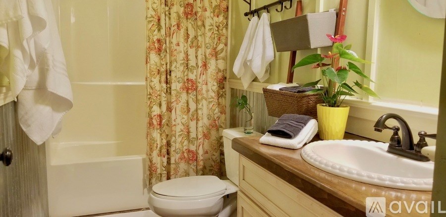 A bathroom with a toilet, sink, and shower curtain.