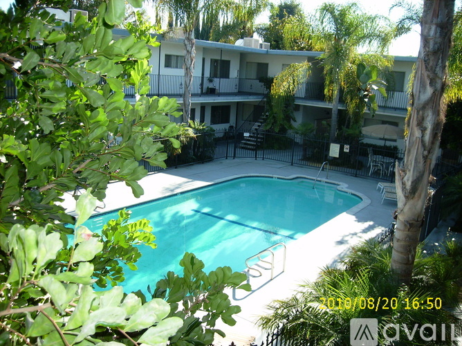 A pool surrounded by trees and apartment buildings.