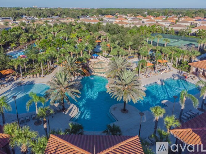 A large pool surrounded by palm trees and a water slide.