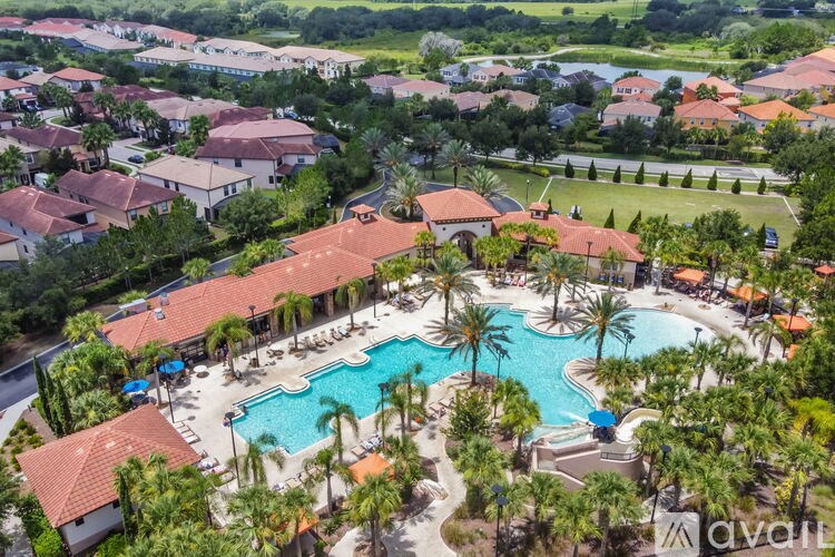 A large swimming pool surrounded by palm trees and lounge chairs.