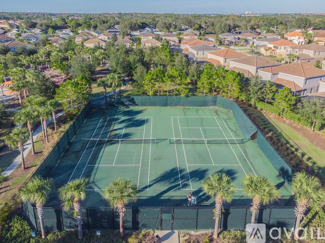 A tennis court surrounded by palm trees and residential houses.