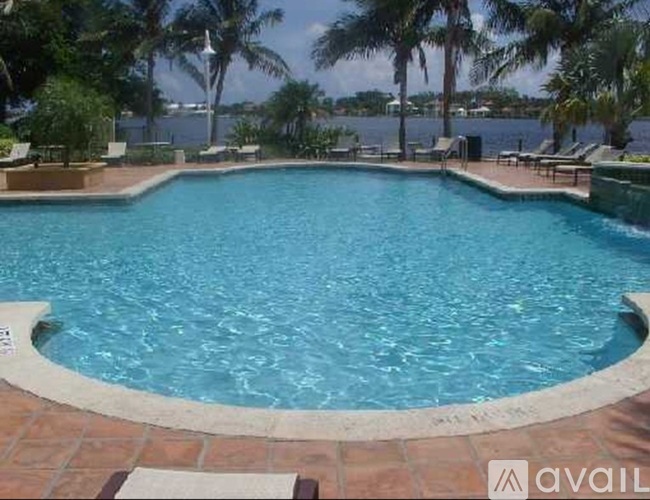 A large outdoor swimming pool surrounded by palm trees.