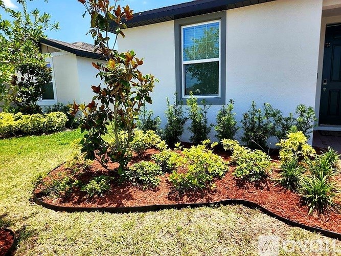 A small tree is in the middle of a flower bed.